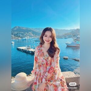 NWT zimmermann frill dress size AUS 0=US 4